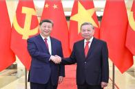 习近平同越共中央总书记苏林举行会谈